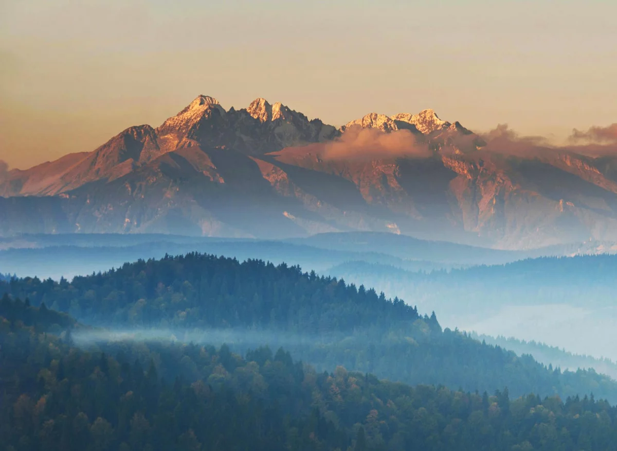 Er det noen nye oppskrifter for å lage oppbevaringsmøbler? det mulig oppbevaring av møbler etter jobb?