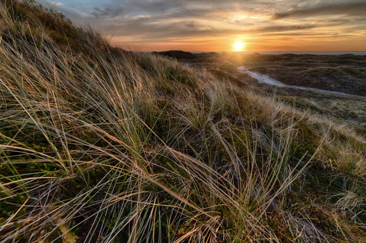 Sprawdzone metody jak lodówkę do domu